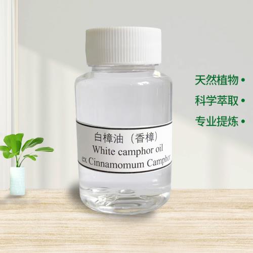 White Camphor oil  ex Cinnamomum Camphor